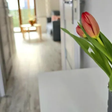Triaapart Zloty Brzeg Apartment *
