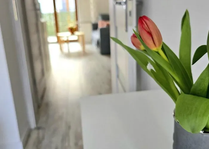 Triapart Zloty Brzeg Apartman *